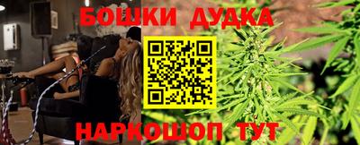 крисы Заводоуковск