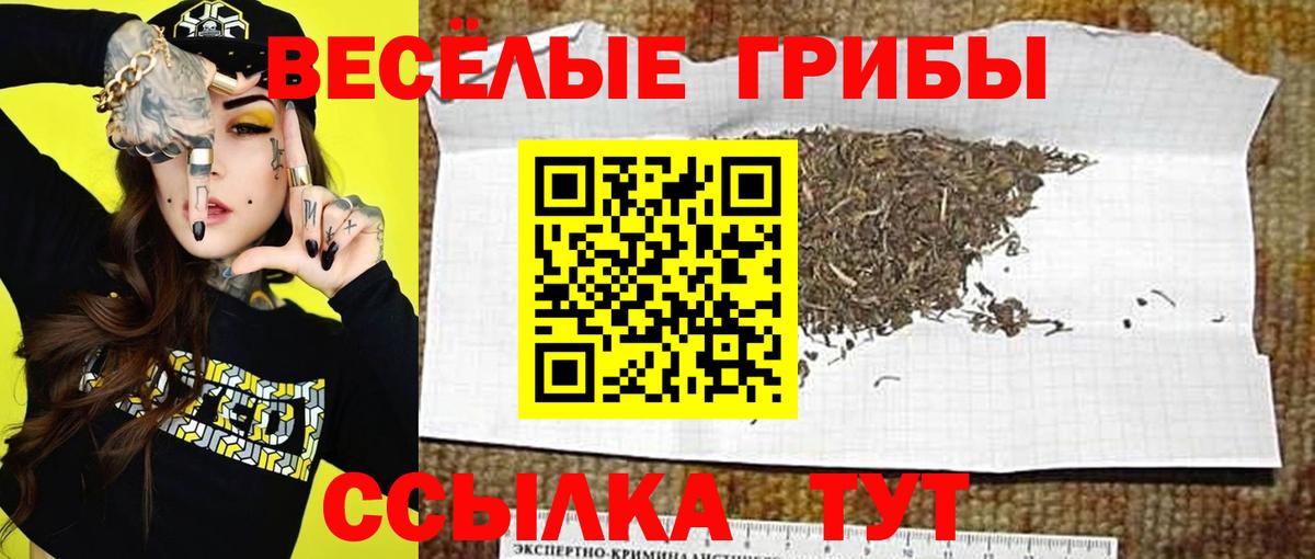 Псилоцибиновые грибы ЛСД Ивантеевка