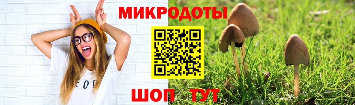 Ивантеевка  Псилоцибиновые грибы ЛСД  Вход с VPN 